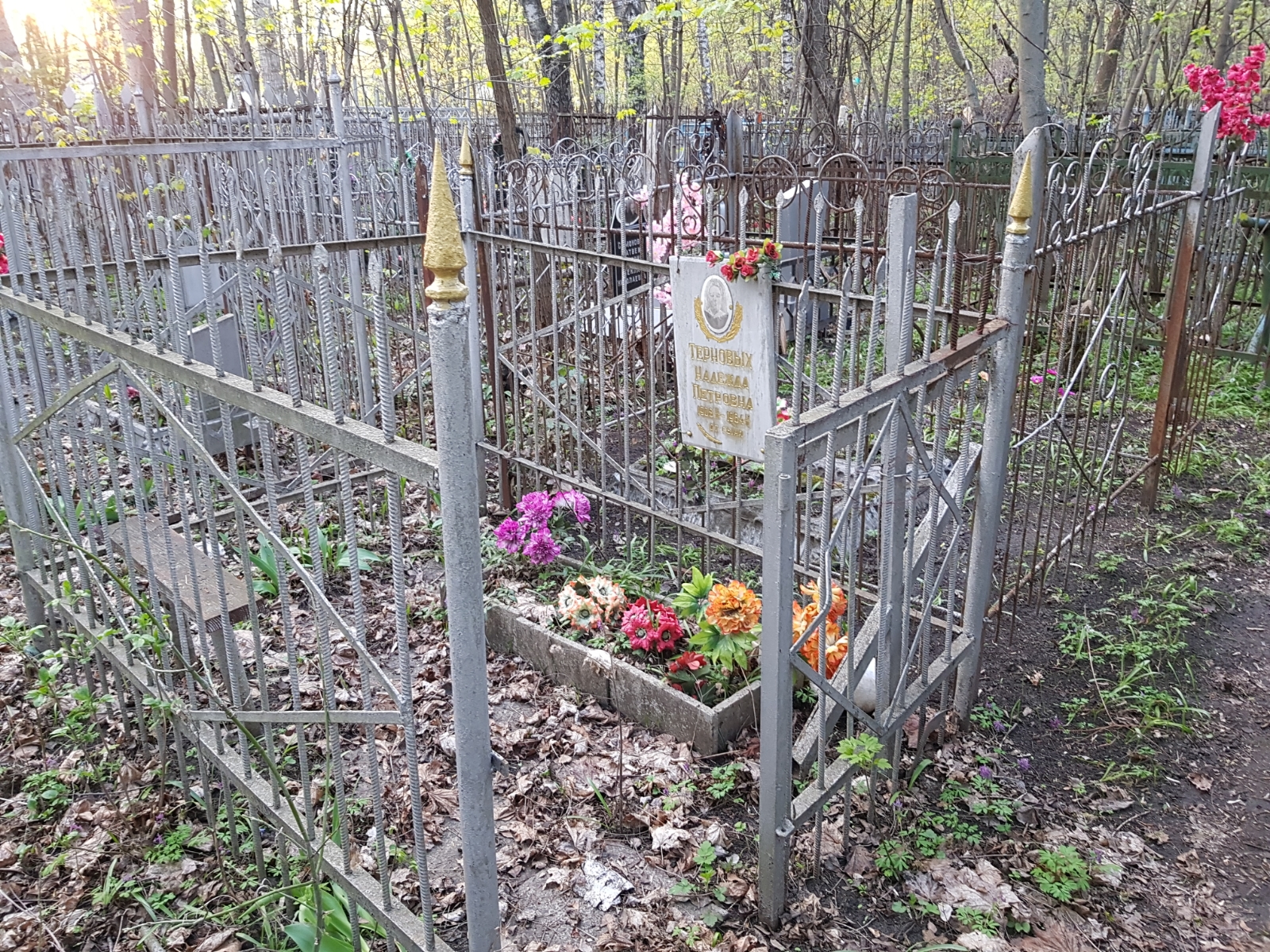 Терновых Надежда Петровна
