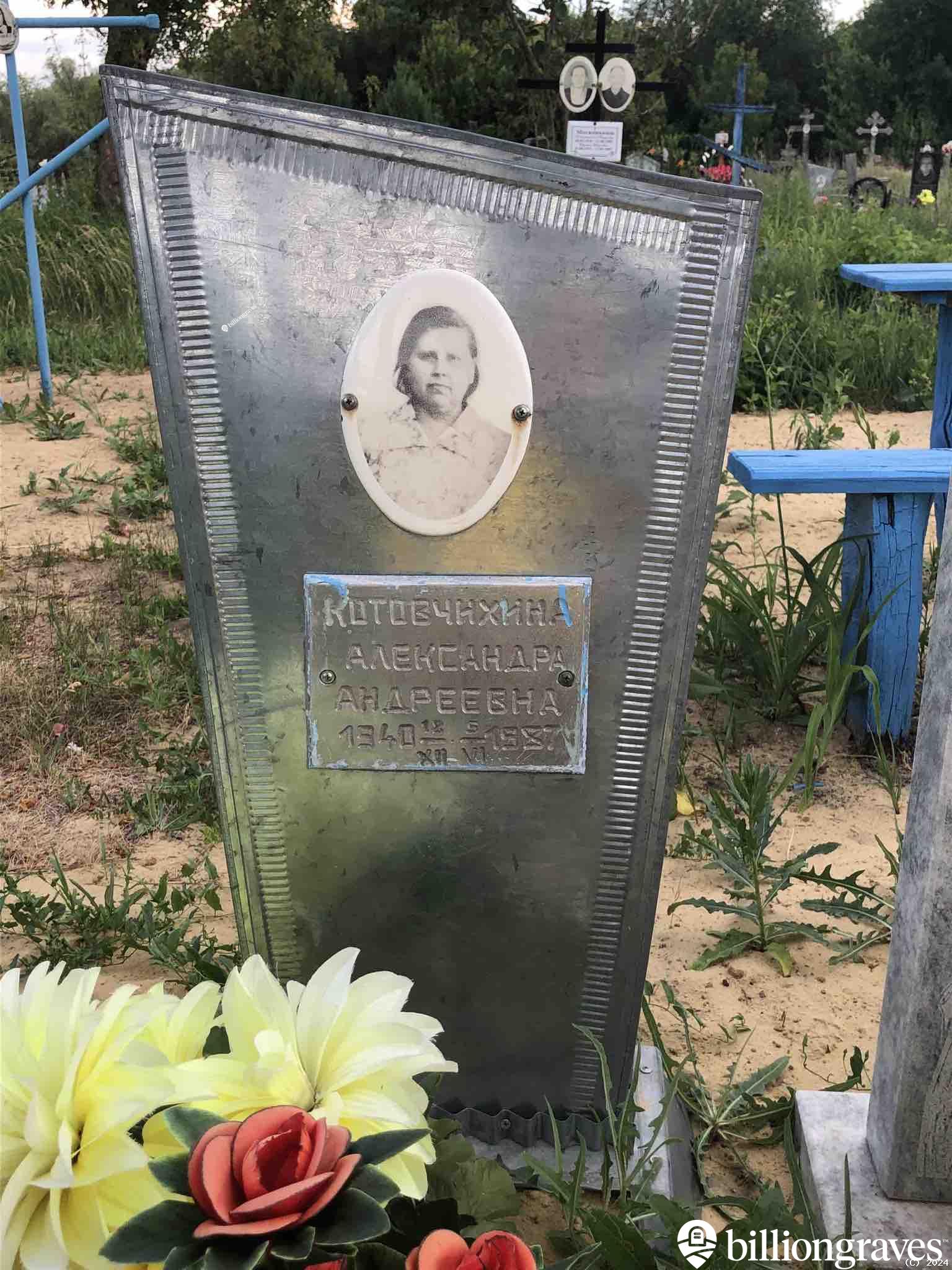 Котовчихина Александра Андреевна