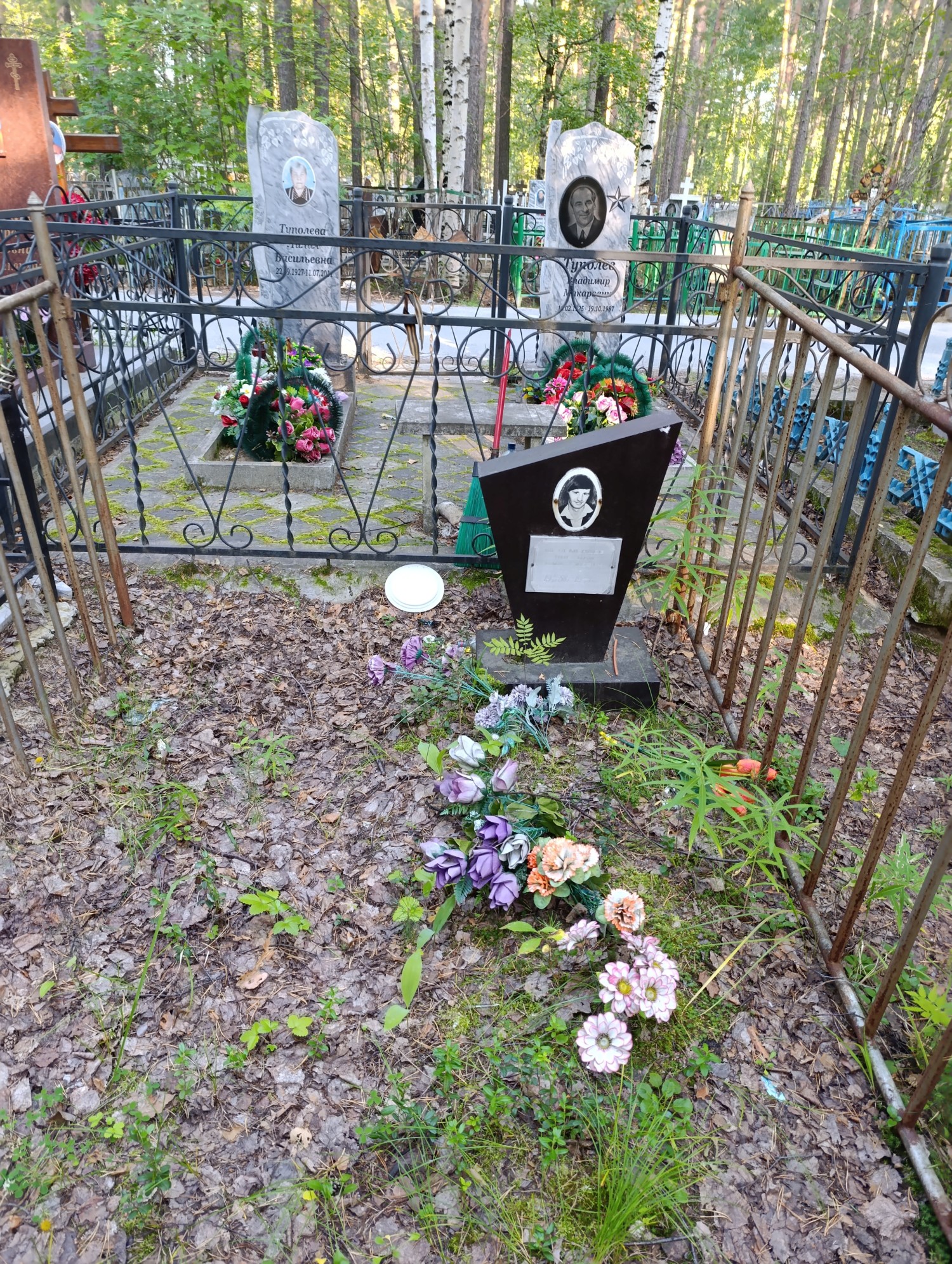 Шелеменцев Николай Дмитриевич