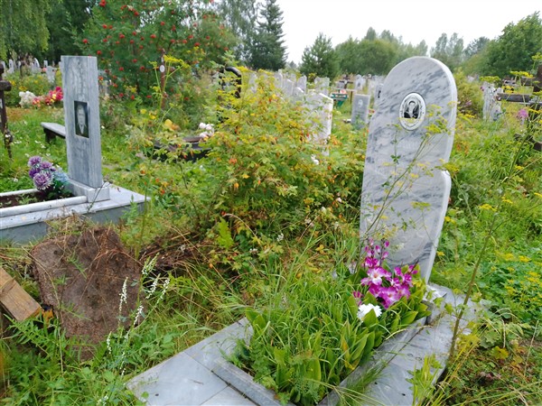 Зыков Сергей Вячеславович