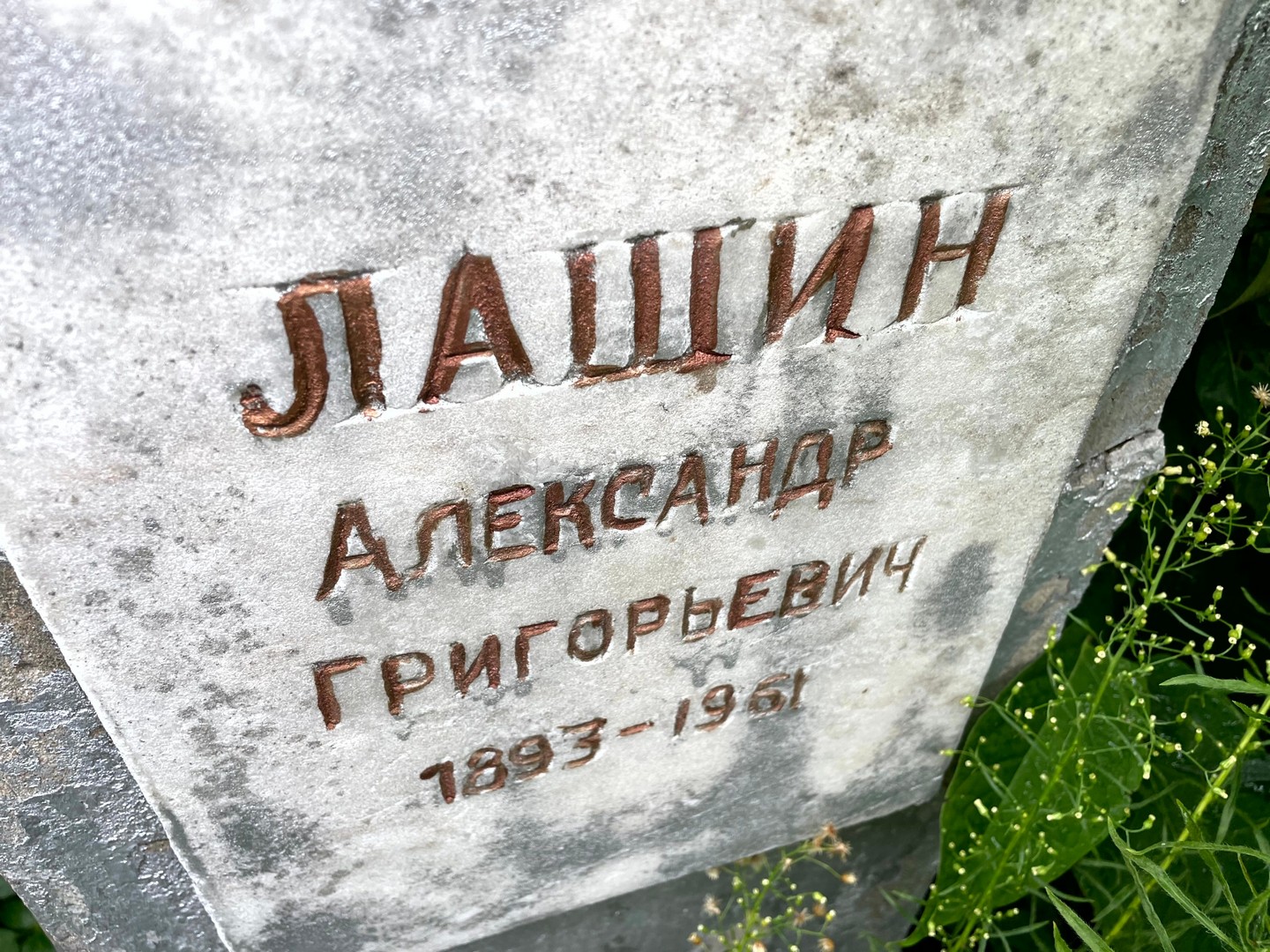 Лашин