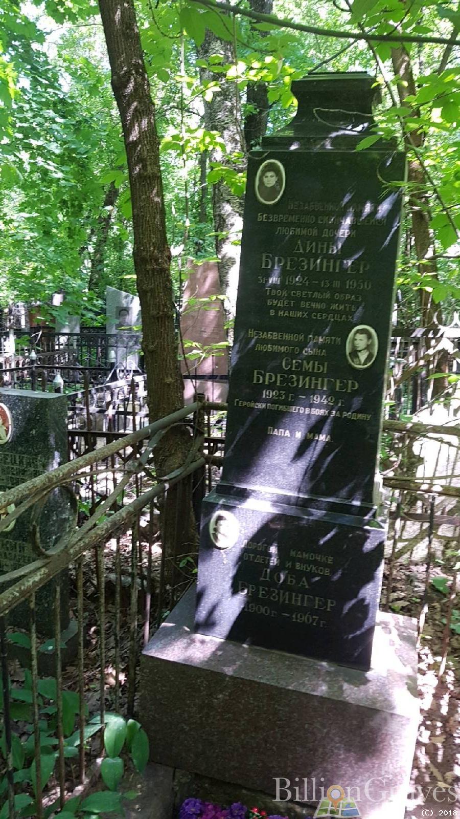 Брезингер Дина
