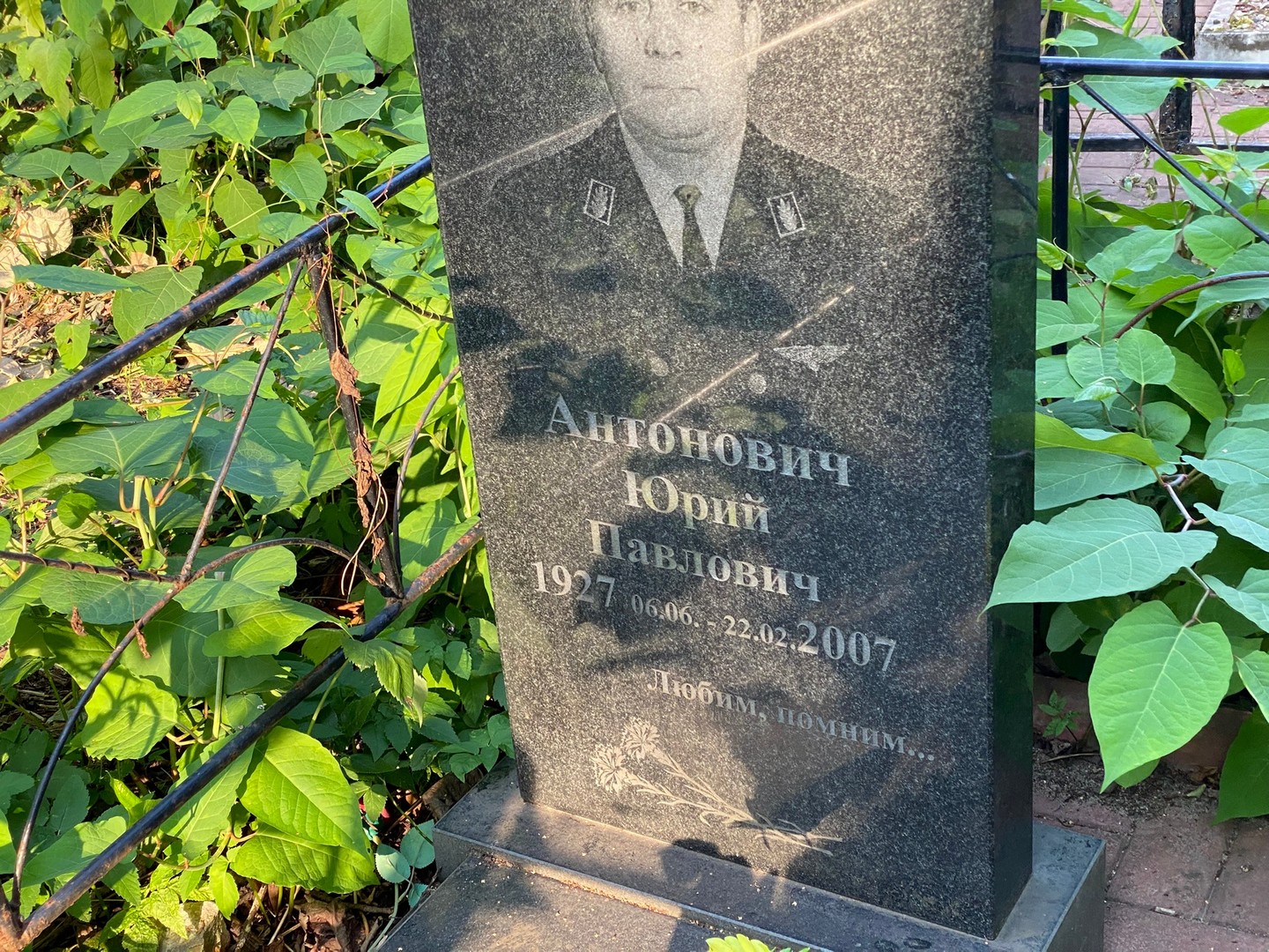 Антонович