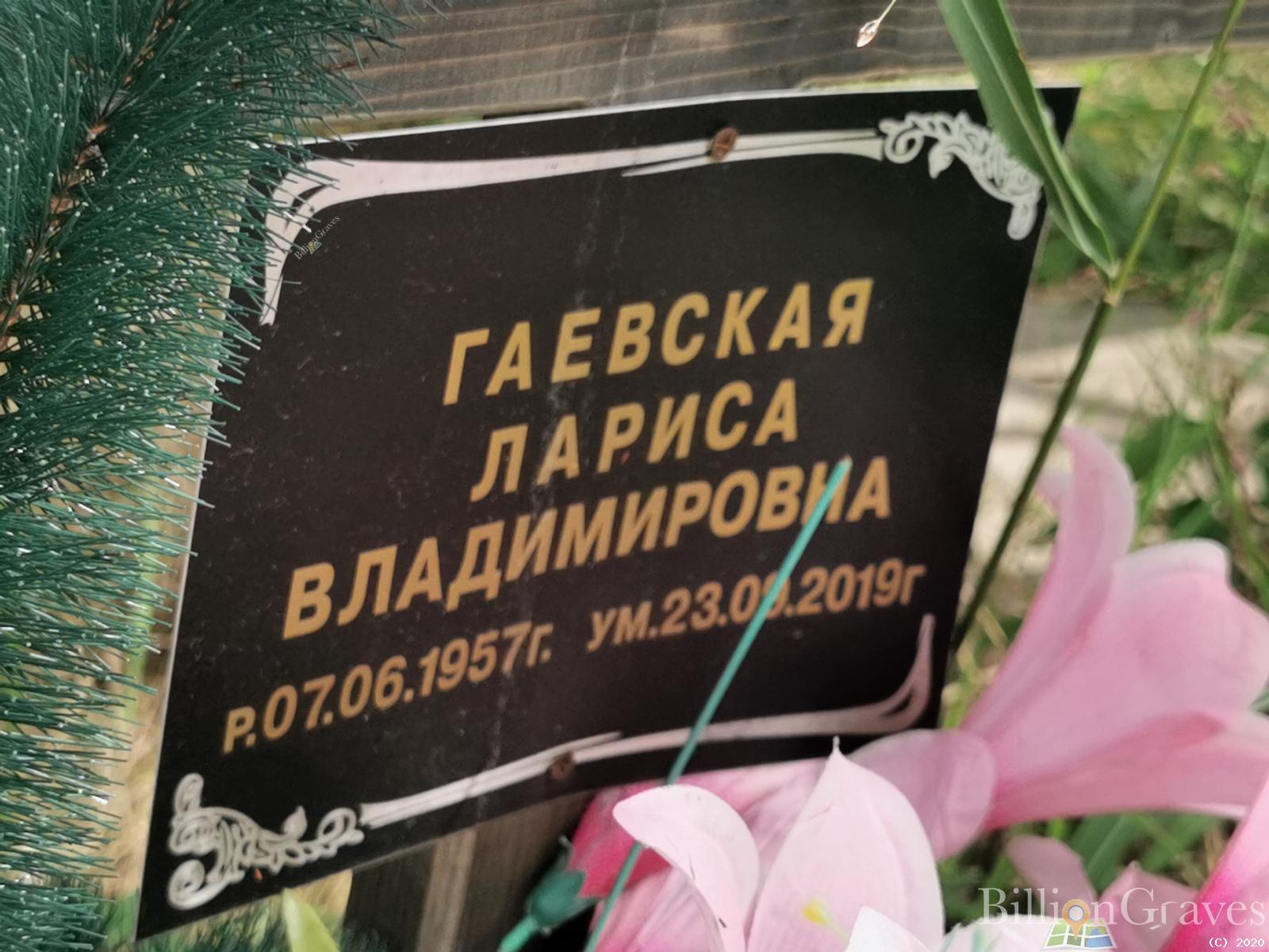 Гаевская Лариса Владимировна