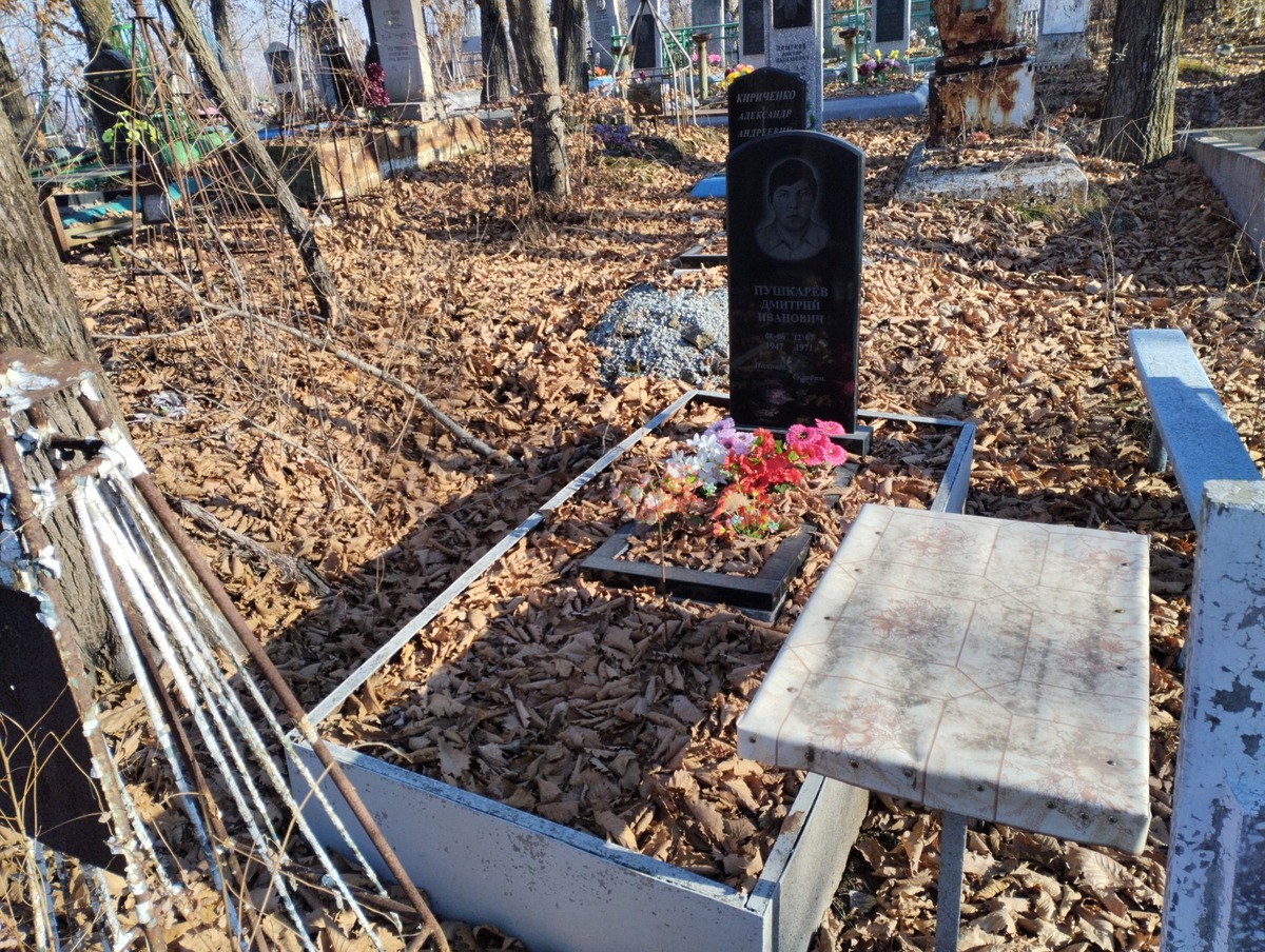 Пушкарев Дмитрий Иванович