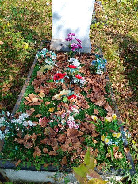 Ушенин Александр Семенович