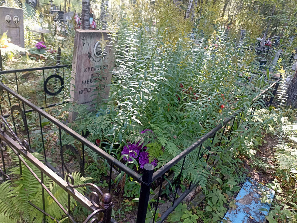 Курочкин Петр Алексеевич