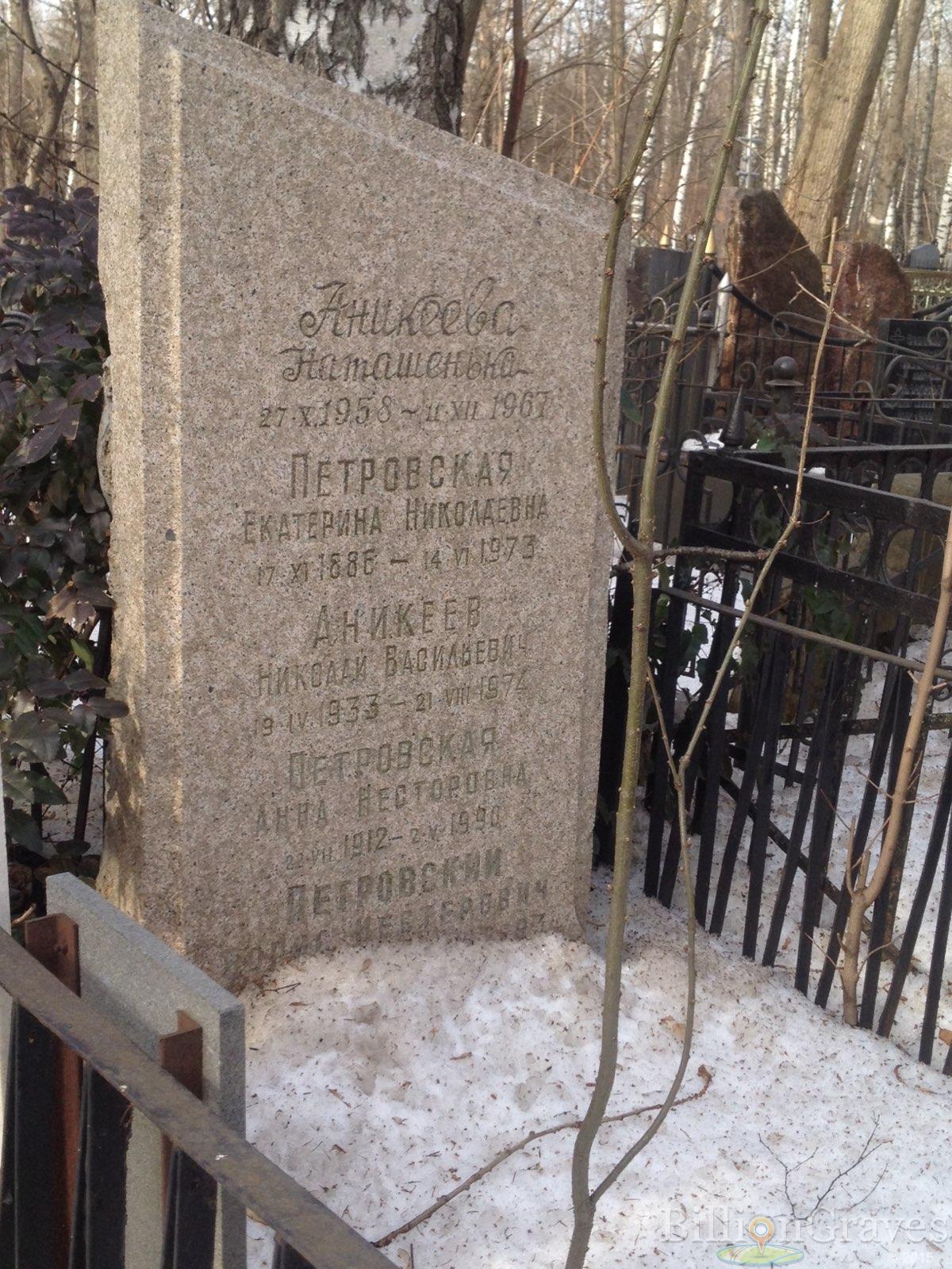 Аникеев Николай Васильевич