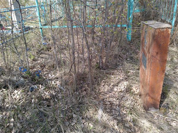 Деревягина Елена Кирилловна