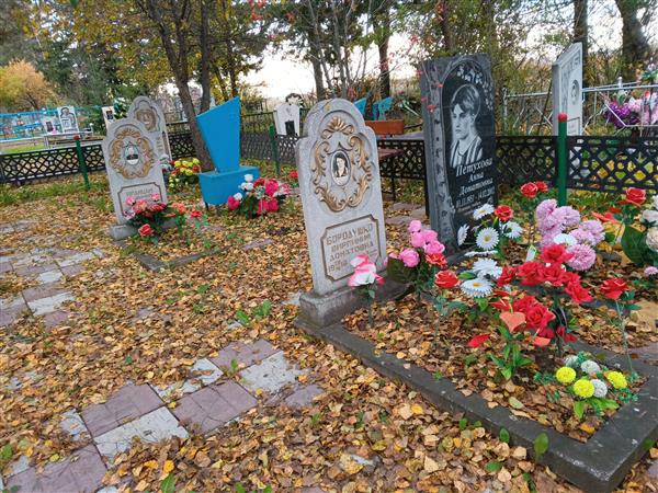 Бородушко Виргиния Донатовна