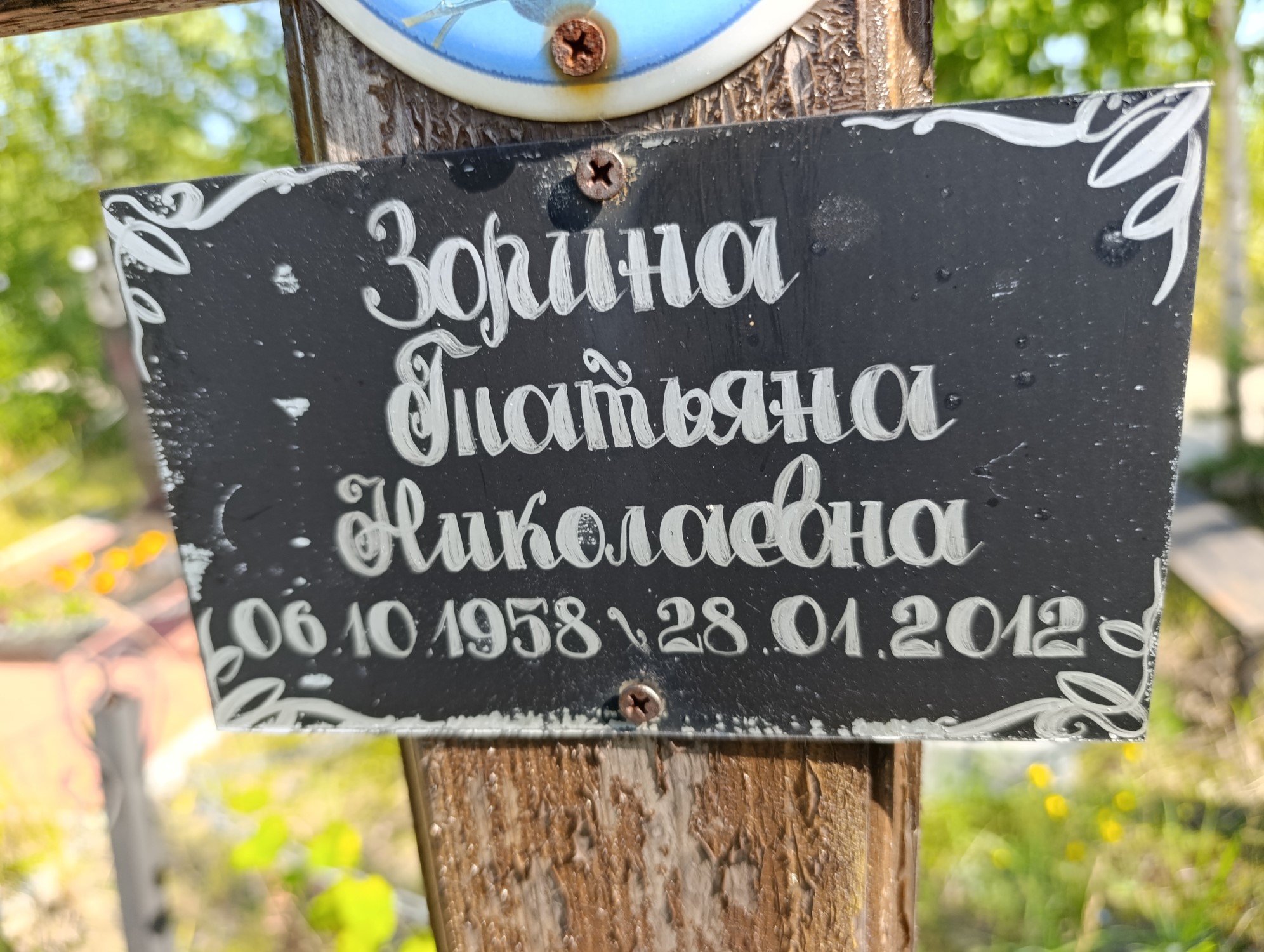 Зорина Татьяна Николаевна