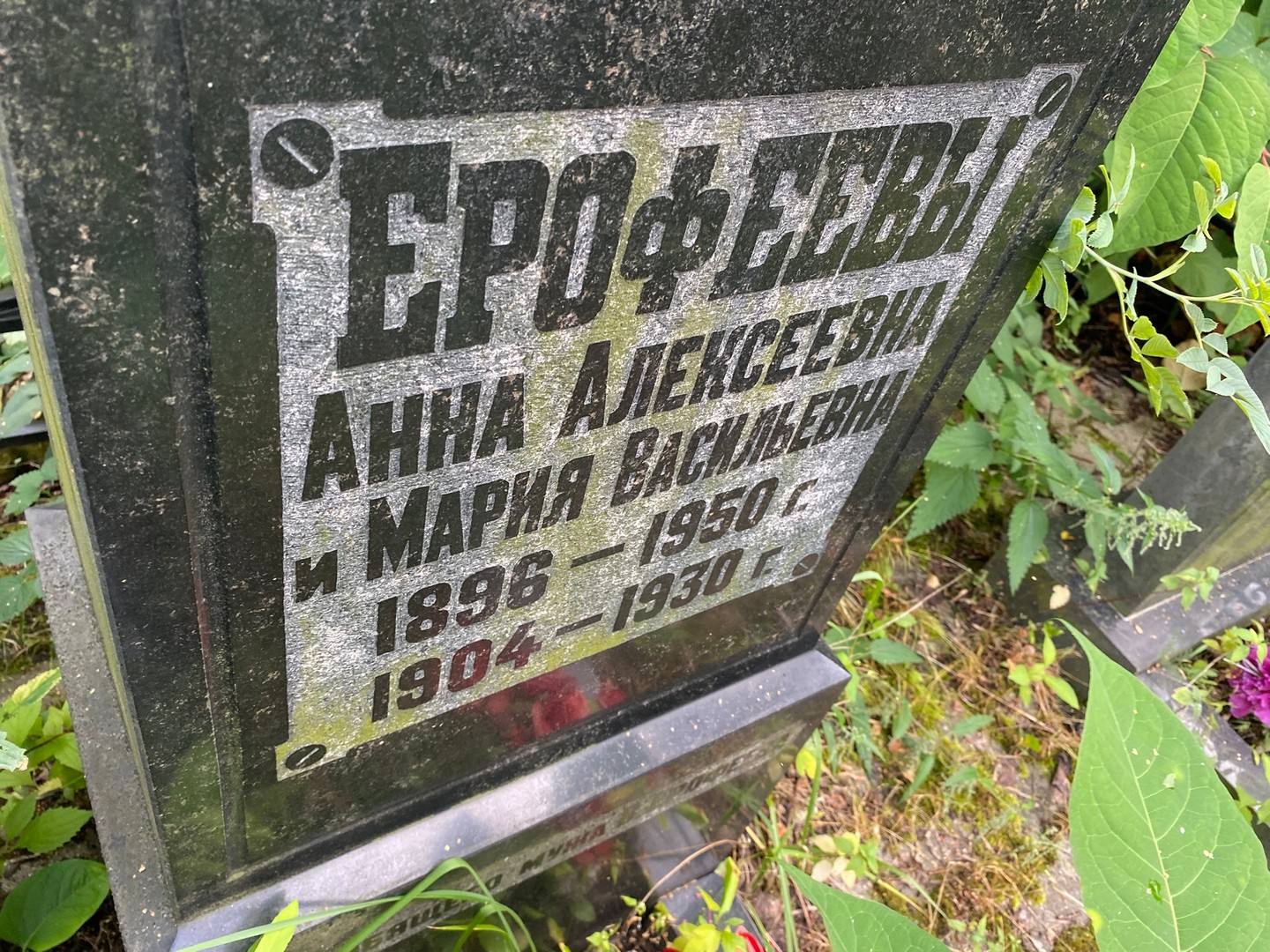 Ерофеева