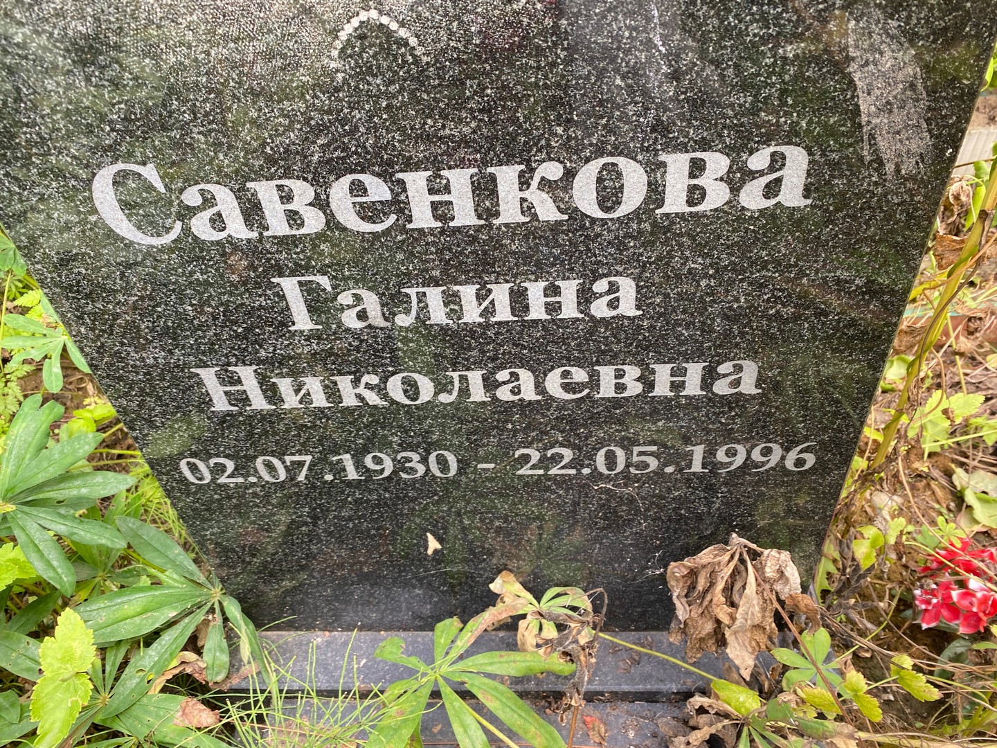 Савенкова