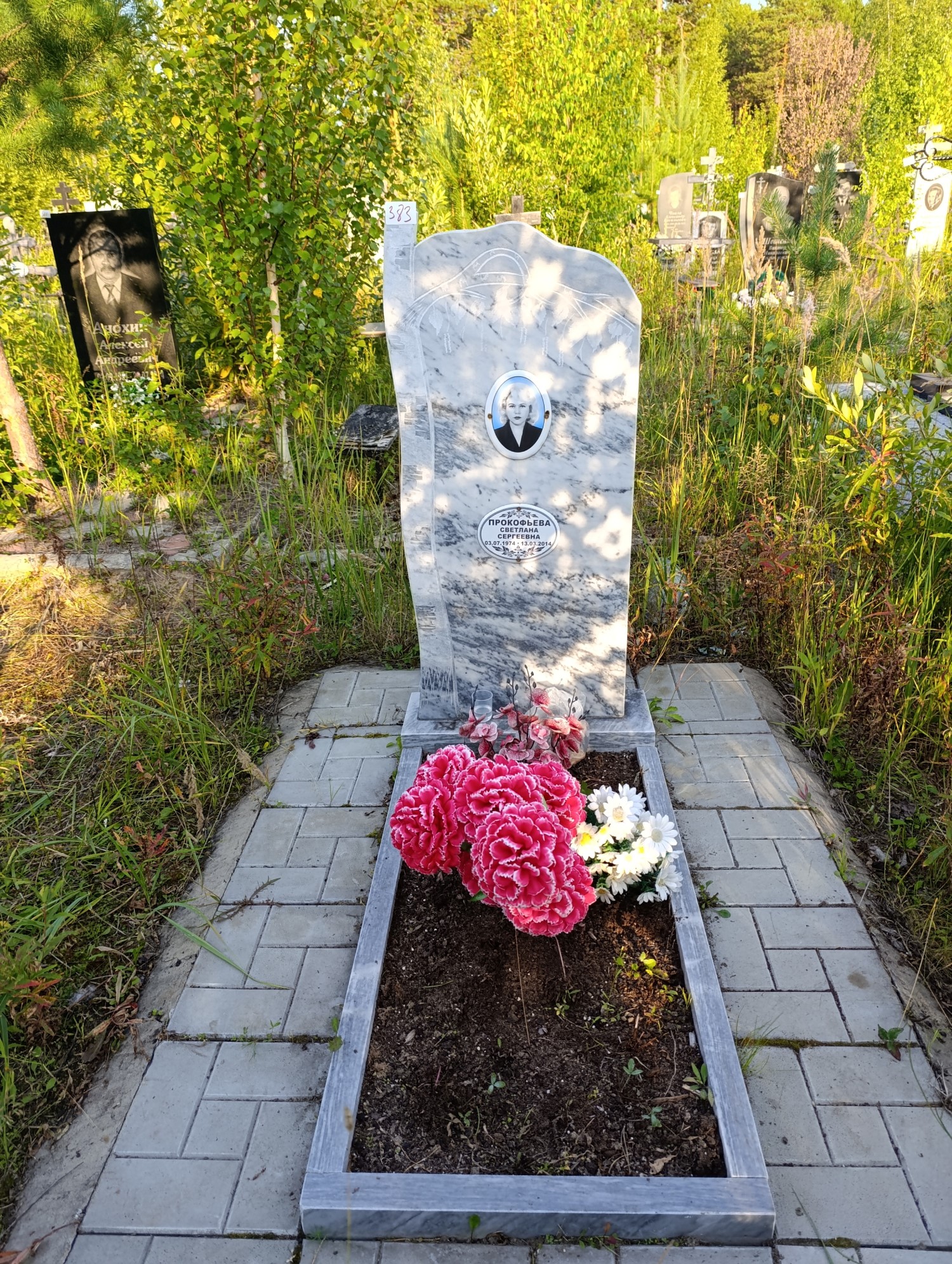 Прокофьева Светлана Сергеевна