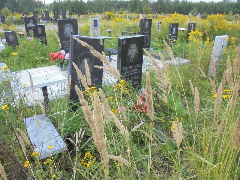 Полякова Алевтина Владимировна