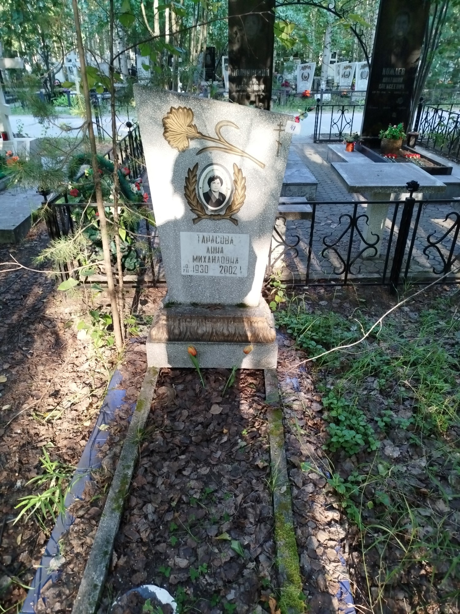 Тарасова Анна Михайловна