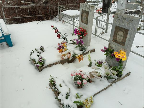 Шипицина Анна Александровна