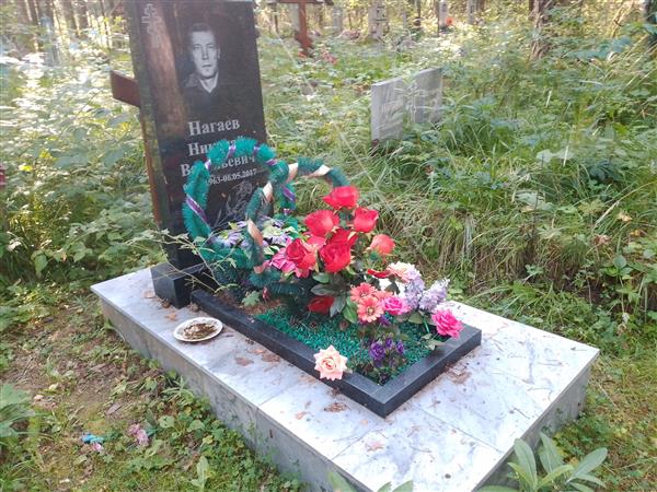 Нагаев Николай Васильевич