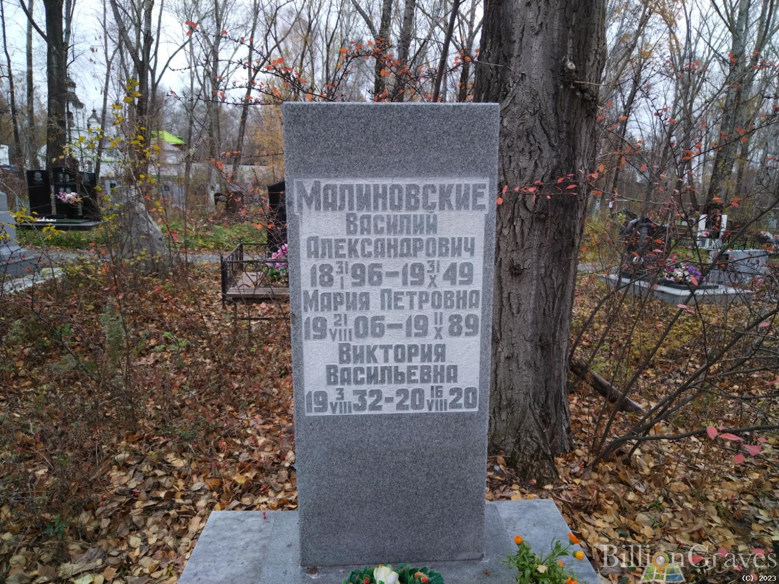 Малиновская Виктория Васильевна