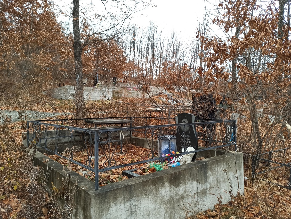 Алиева Роксана Асафовна