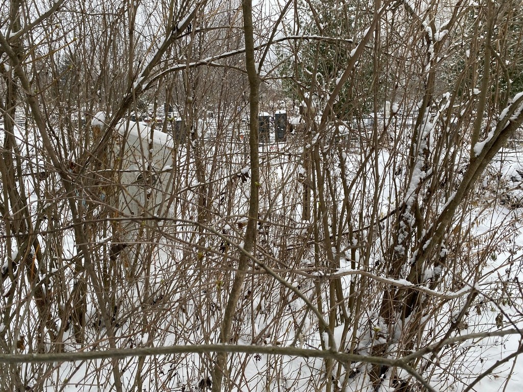 Тимофеева Мария Федоровна
