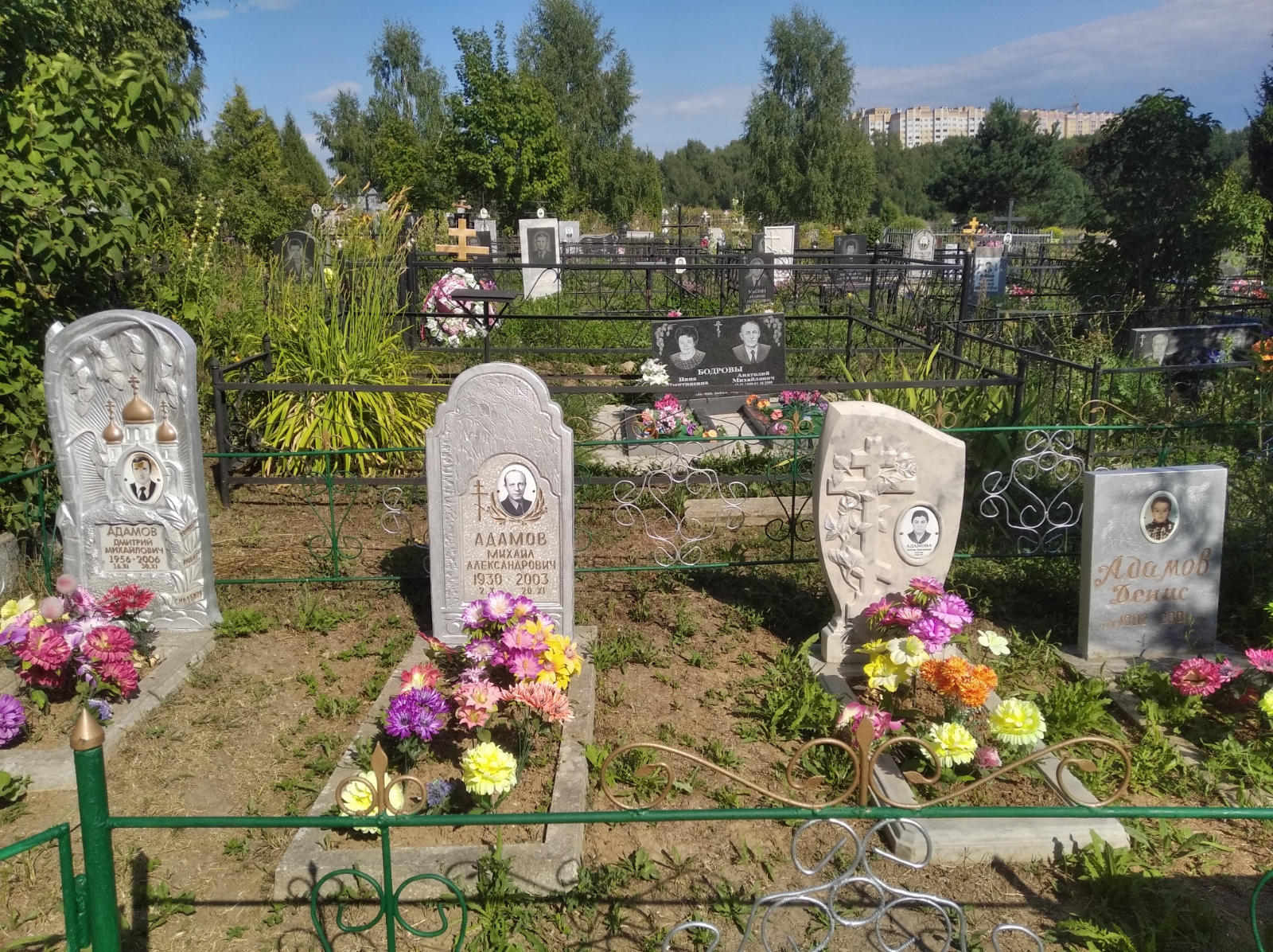 Адамов Дмитрий Михайлович