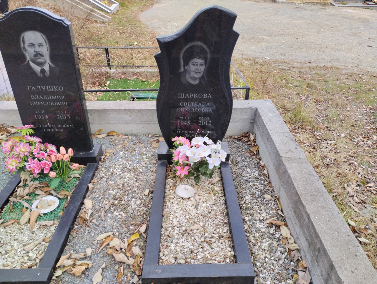 Шаркова Светлана Кирилловна