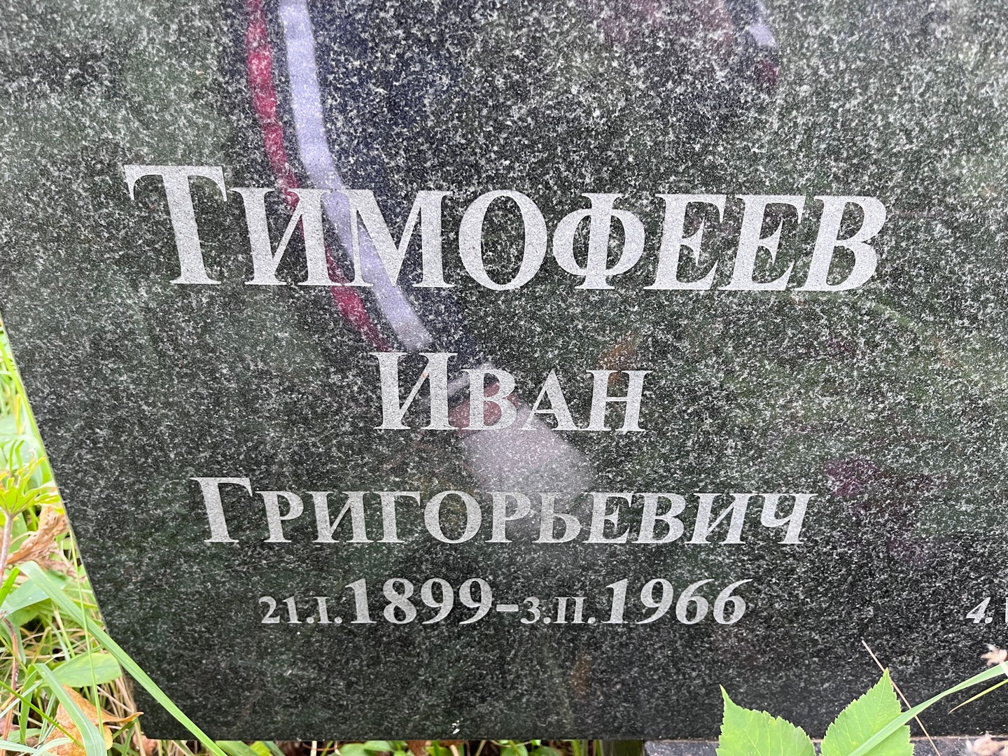 Тимофеев