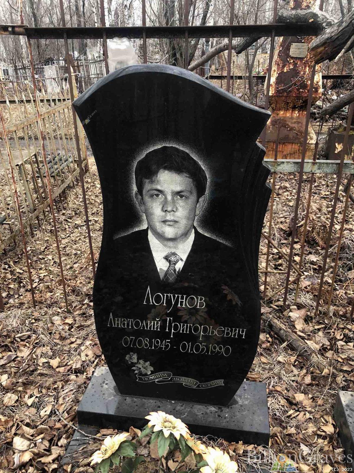 Логунов Анатолий Григорьевич