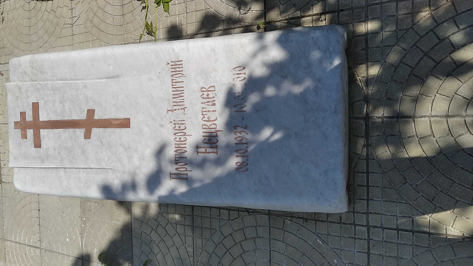 Нецветаев Димитрий