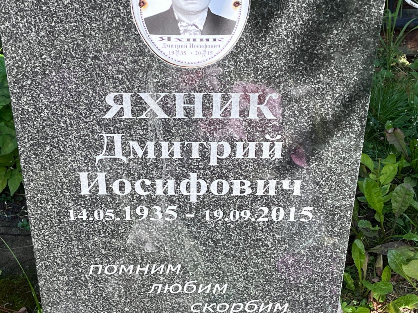 Яхник