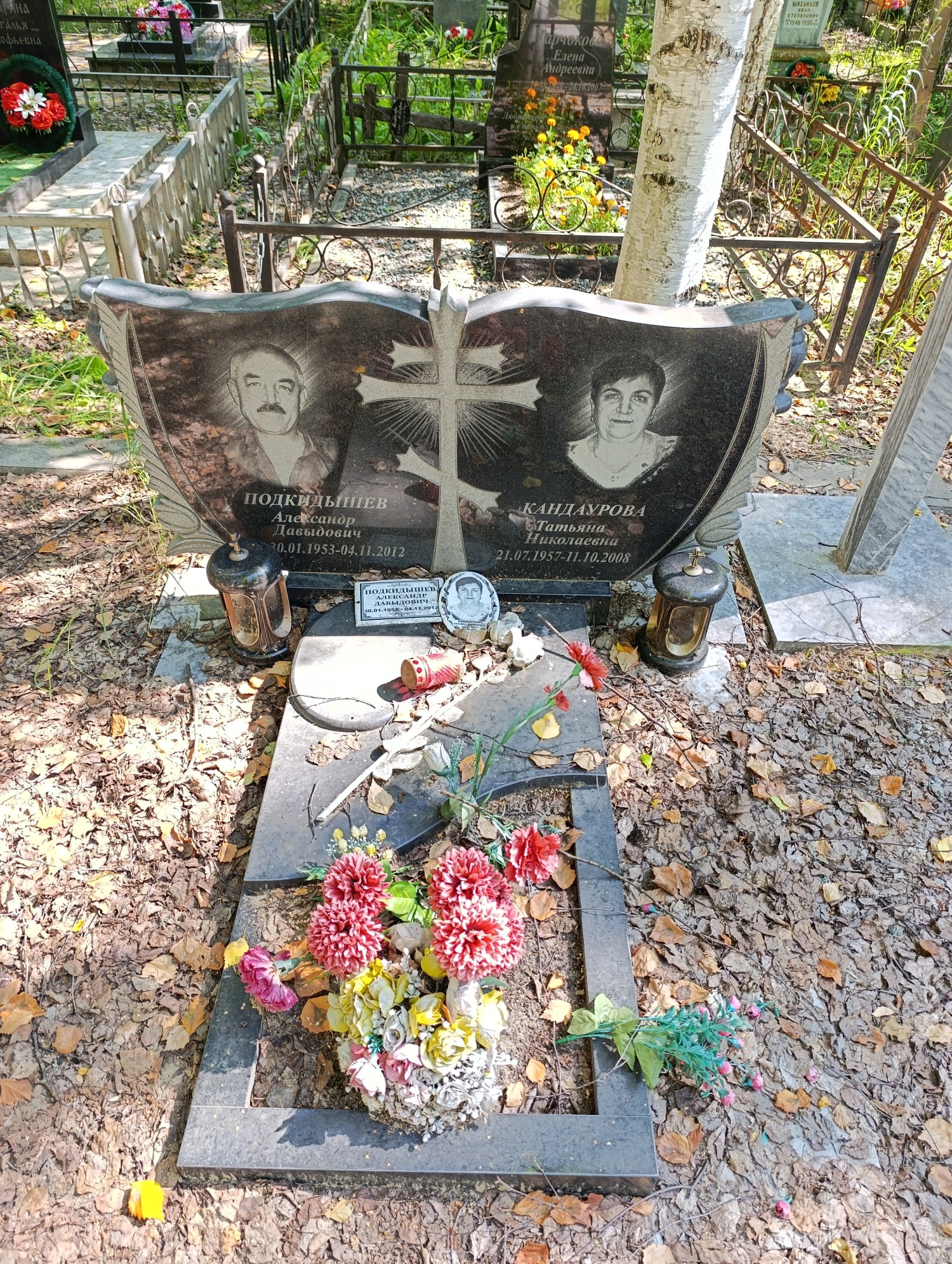 Подкидышев Александр Давыдович