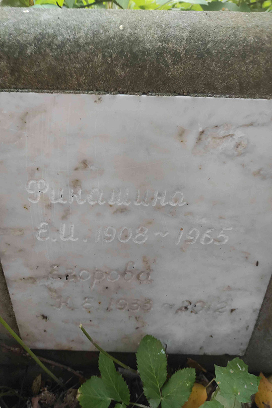 Егорова Н. Е.