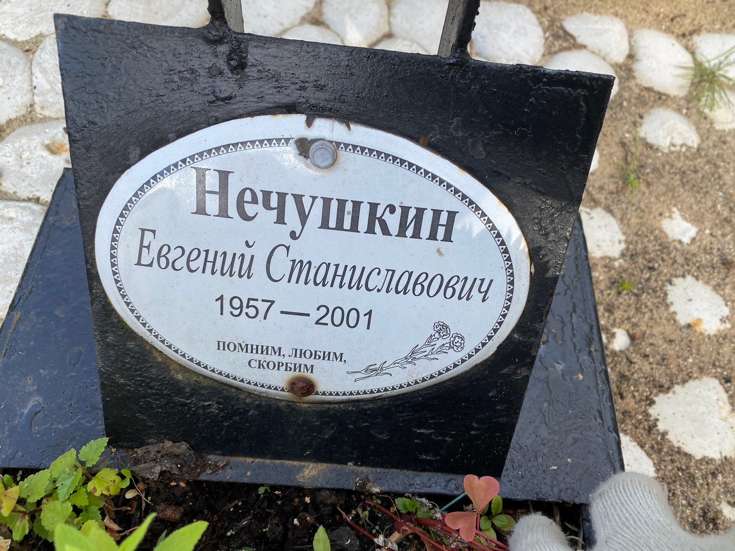 Нечушкин