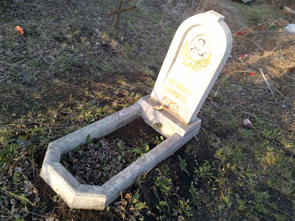 Дурнева Елена Адамовна