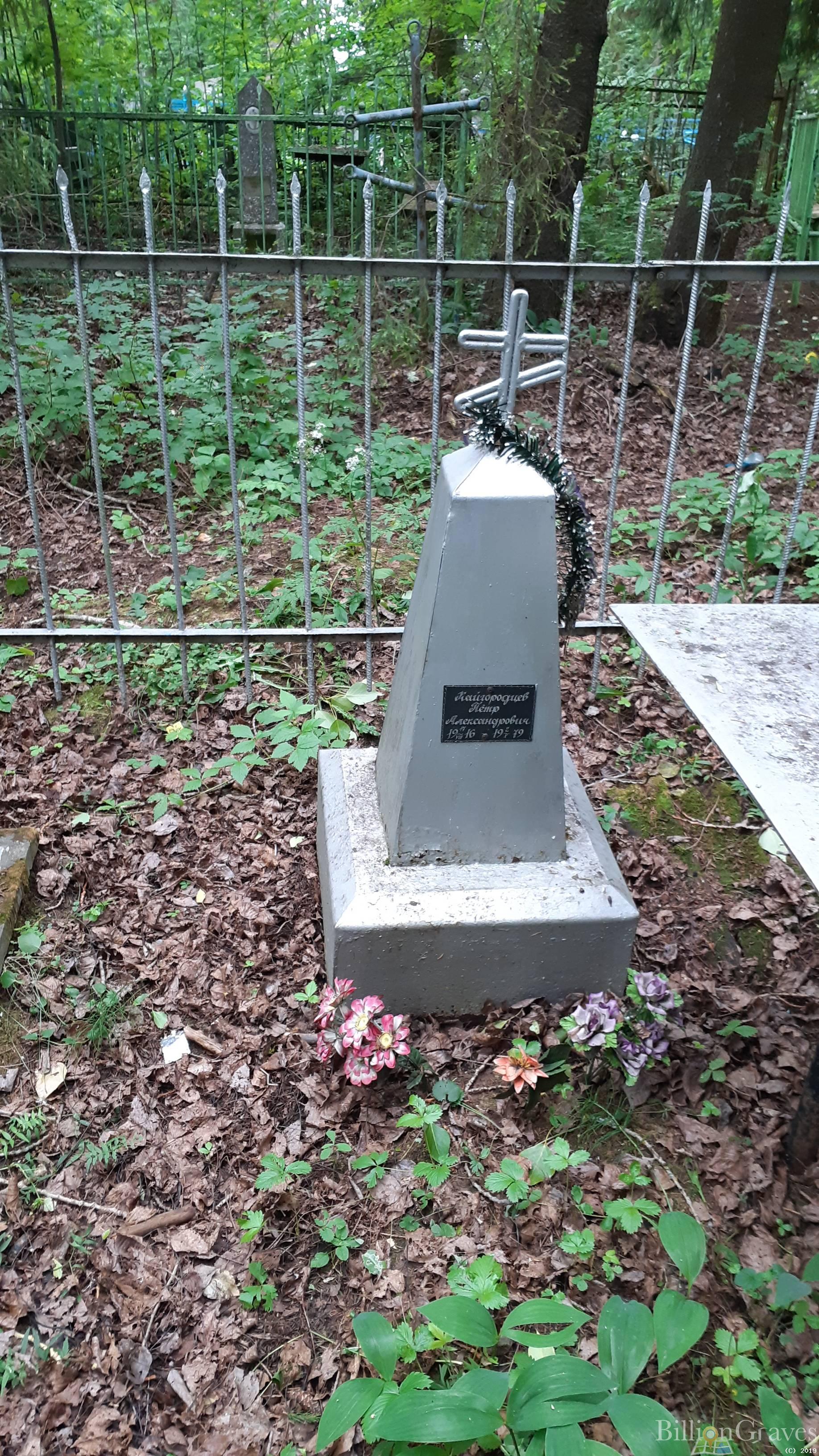 Кайгородцев Петр Александрович