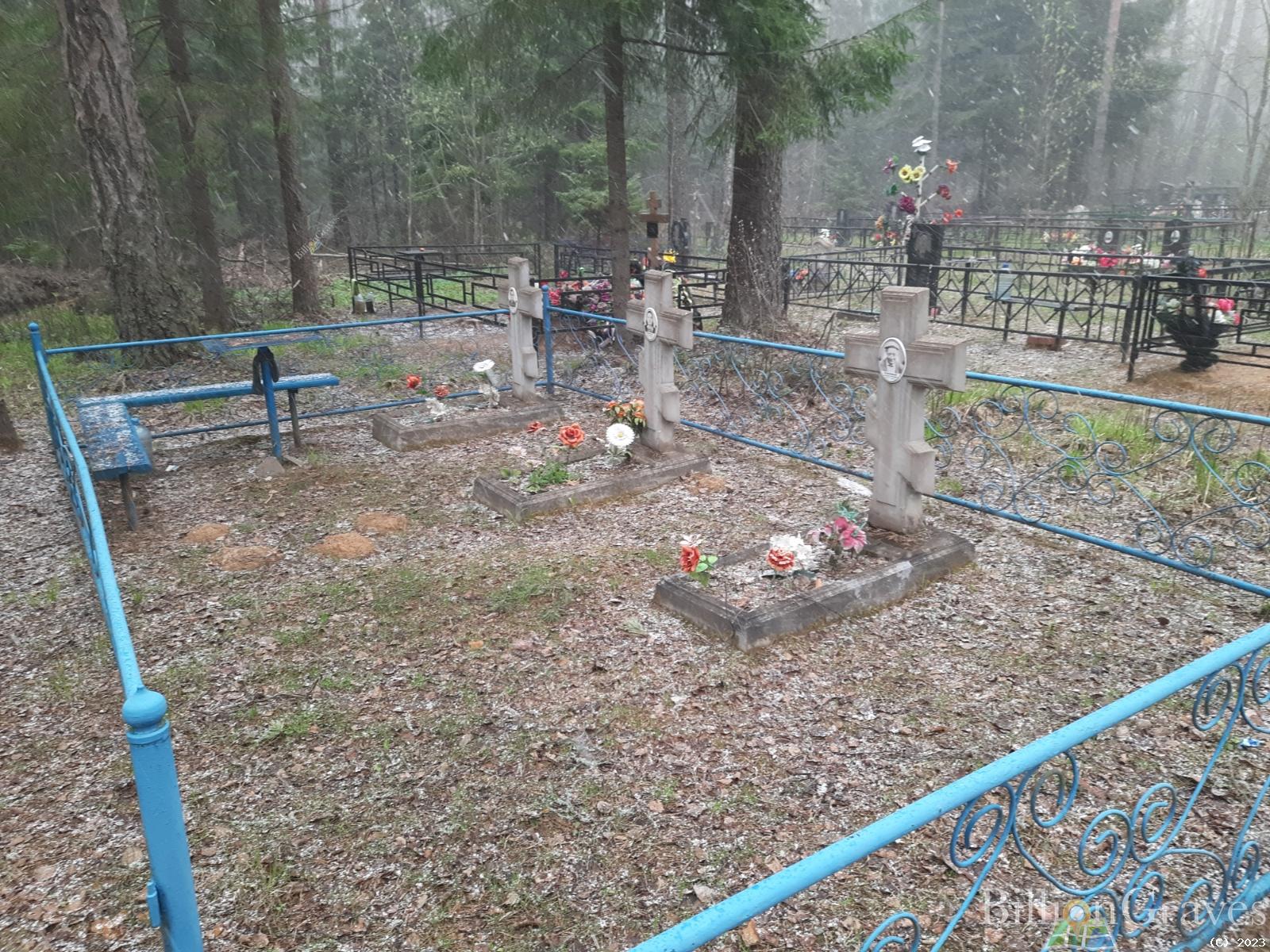 Коронная Нина Андреевна