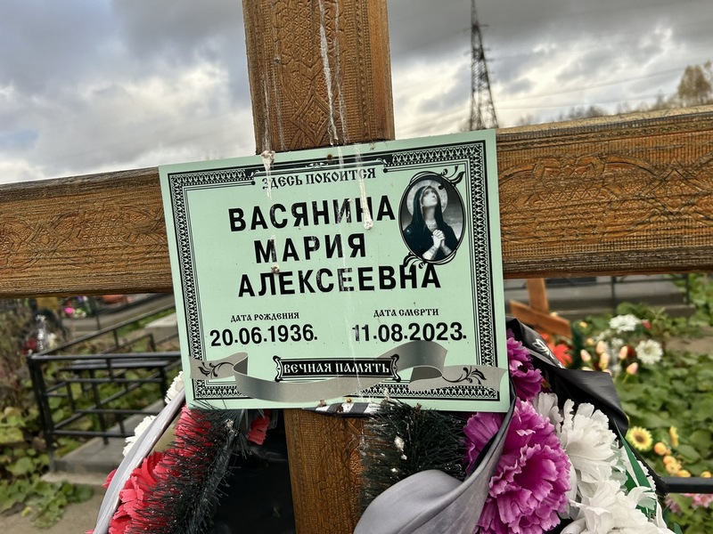 Васянина