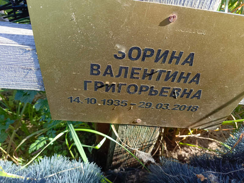 Зорина