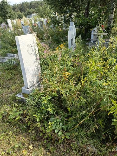 Поршнева Елена Григорьевна