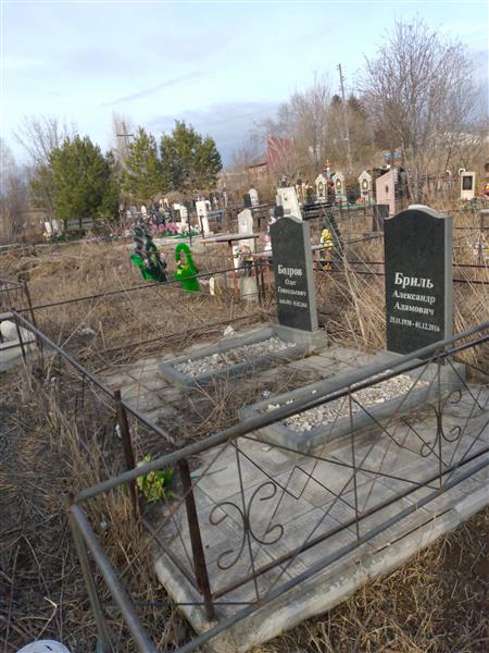 Бриль Александр Адамович