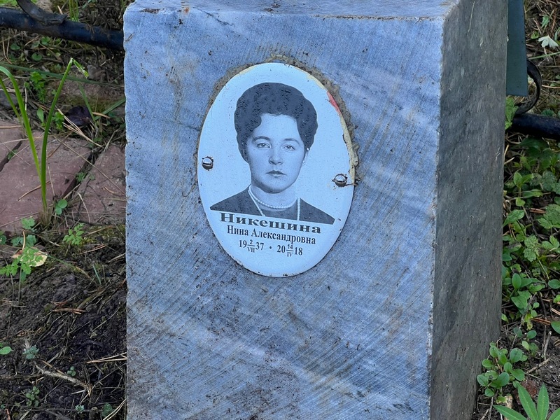 Никешина