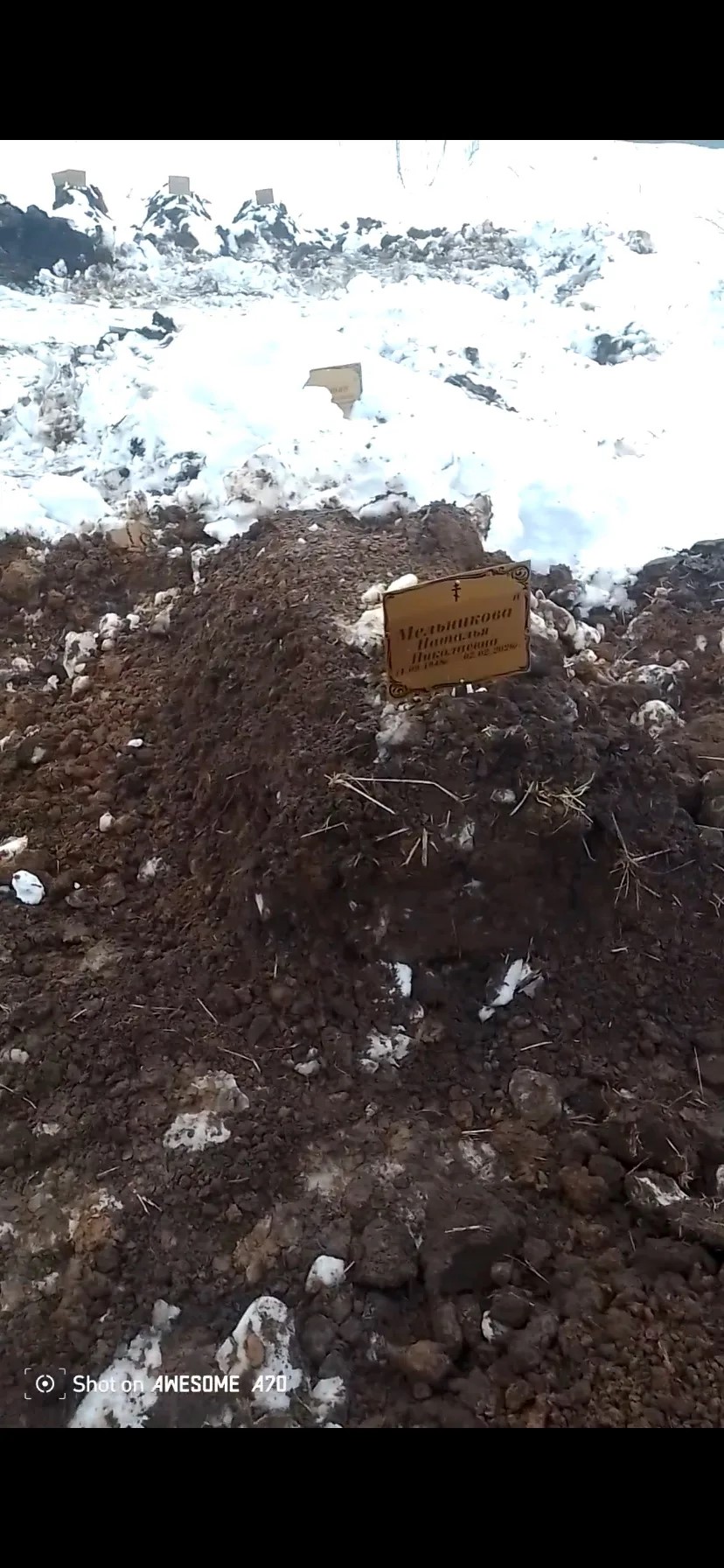 Мельникова