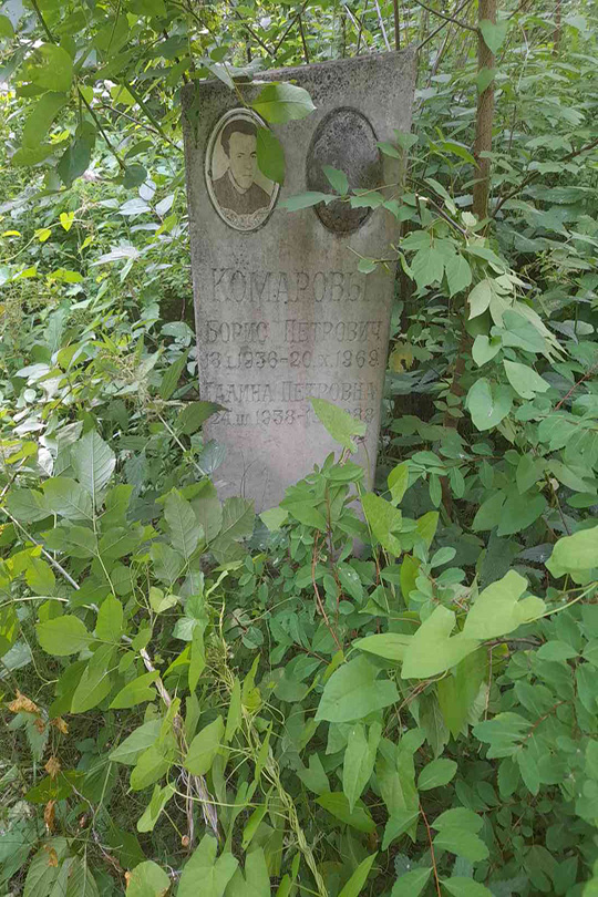 Комаров Борис Петрович