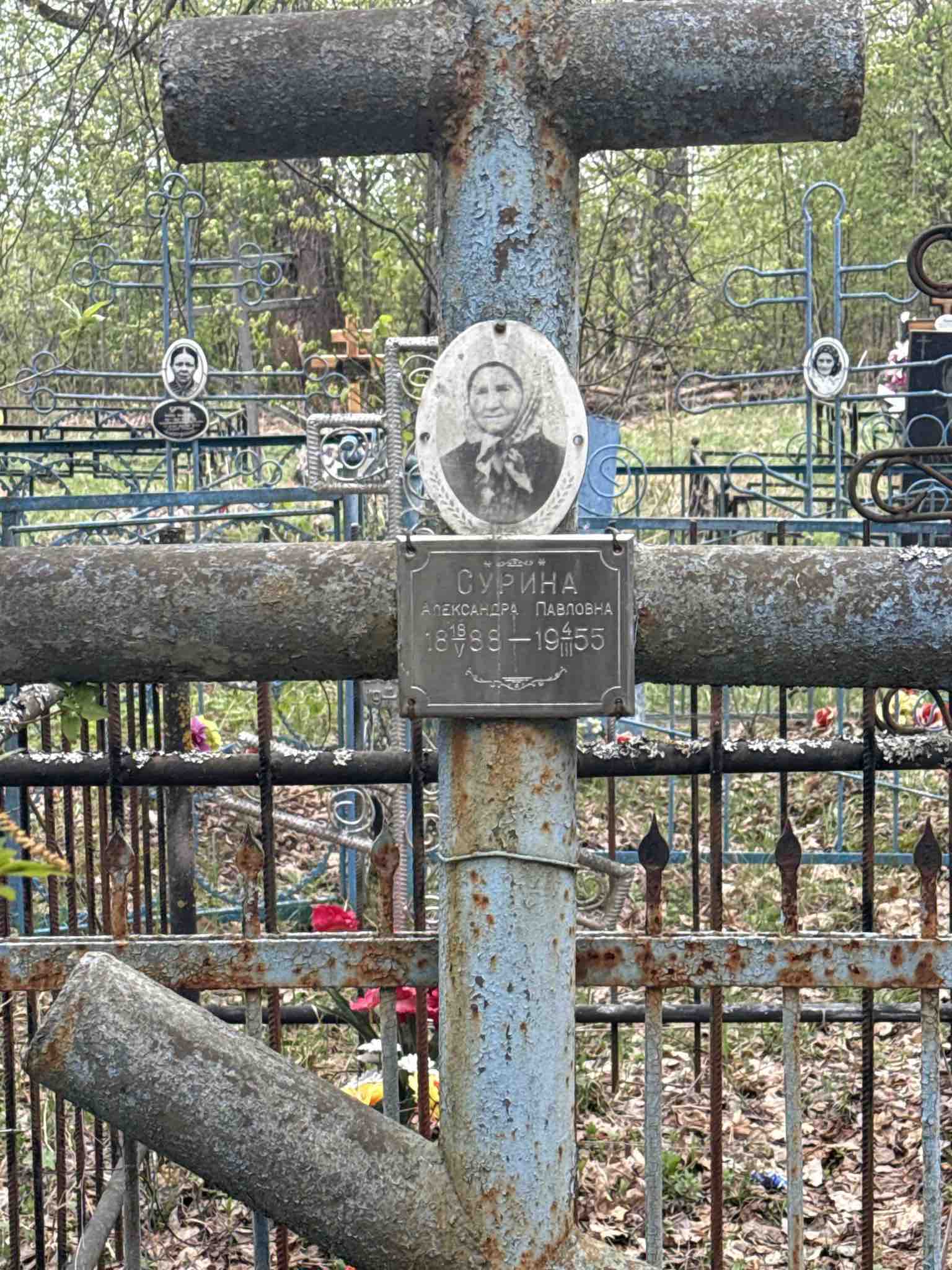 Сурина Александра Павловна