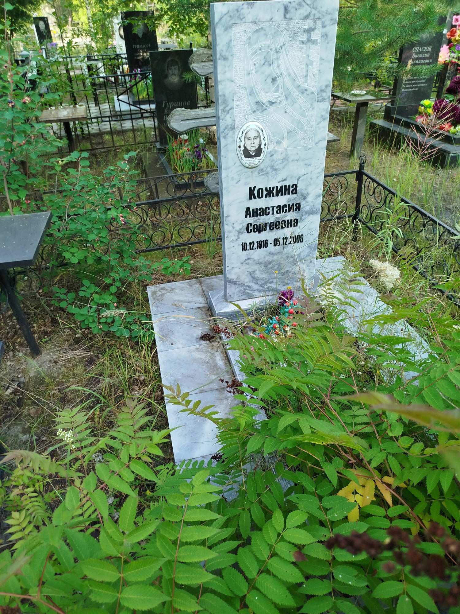 Кожина Анастасия Сергеевна
