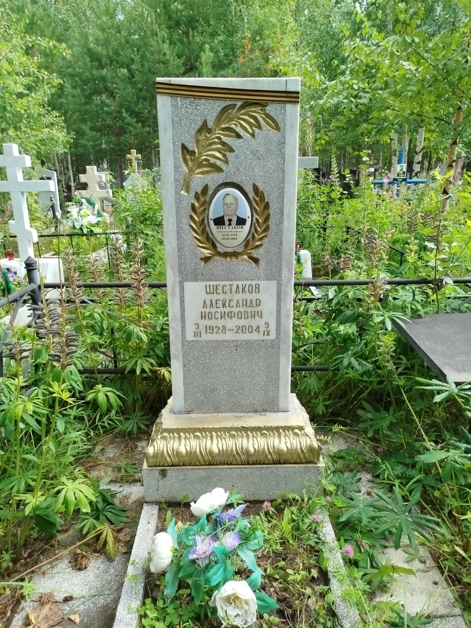 Шестаков Александр Иосифович
