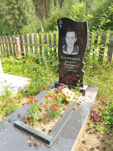 Плужников Валерий Иванович