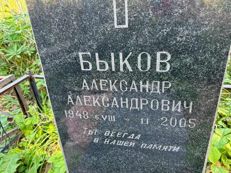 Быков