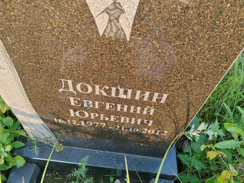 Докшин
